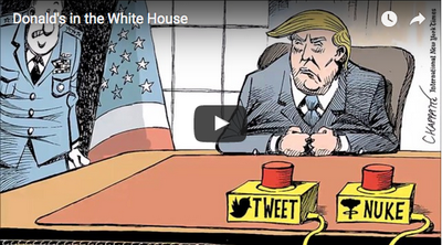 donaldinwhitehouse
