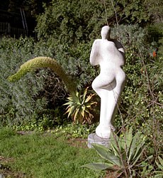 statuelimpcactus.jpg