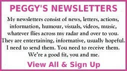 newsletters.jpg