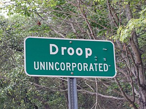 droop.jpg