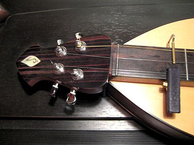 11-dulcimer.jpg
